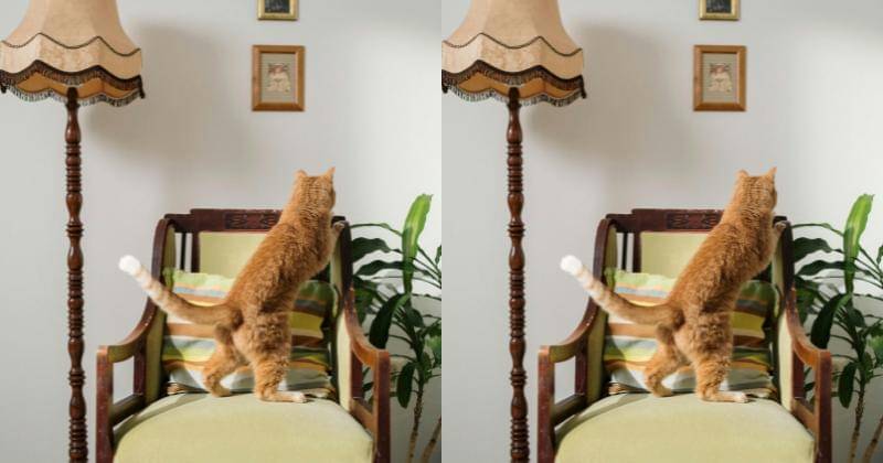 Pexels/CottonbroStudio